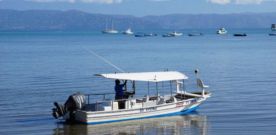 Cabinas Jimenez Puerto Jiménez Εξωτερικό φωτογραφία